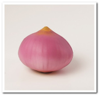 MFR-025 Onion